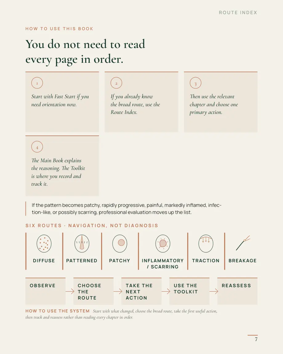 Hair Loss & Hair Growth Action System, page 7 — Route index