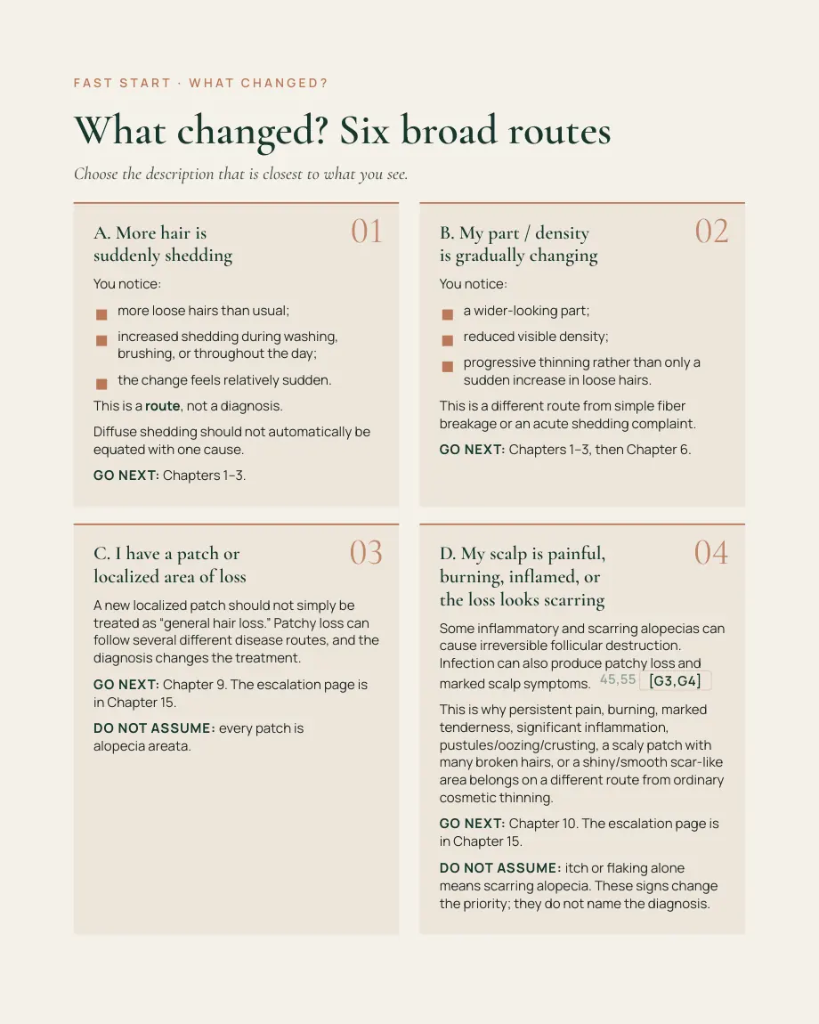 Hair Loss & Hair Growth Action System, page 12 — Fast Start